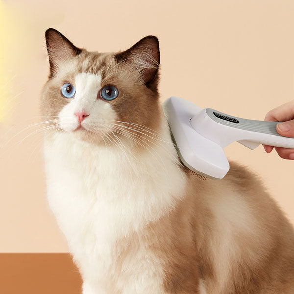Grooming