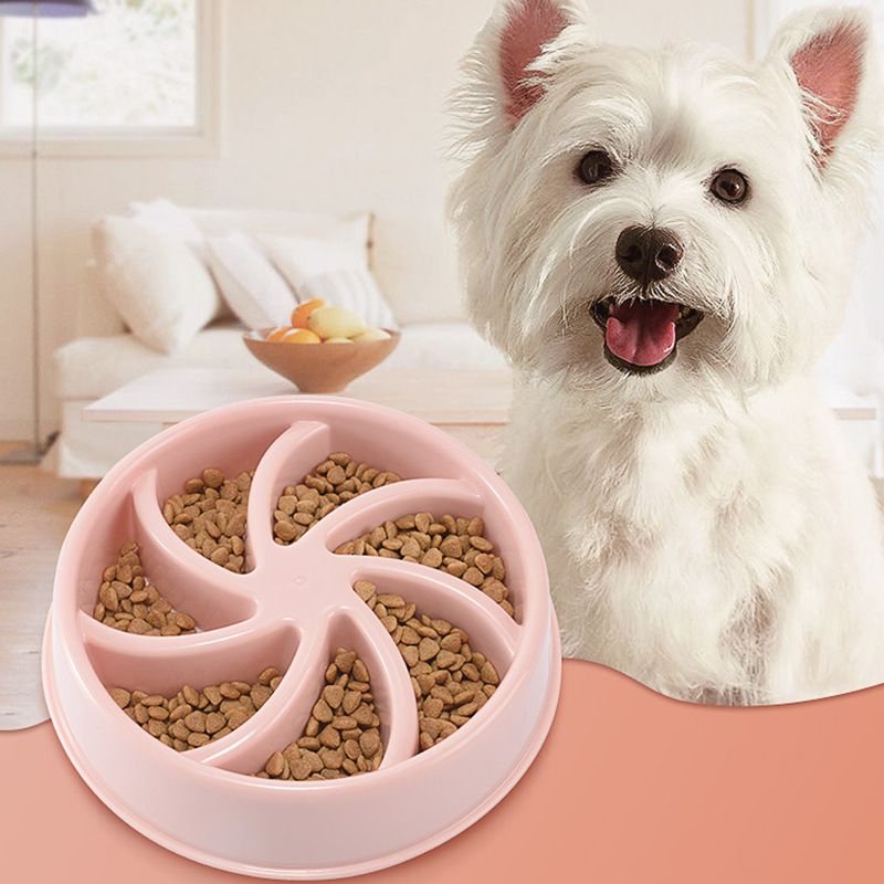 Bowls & Feeders